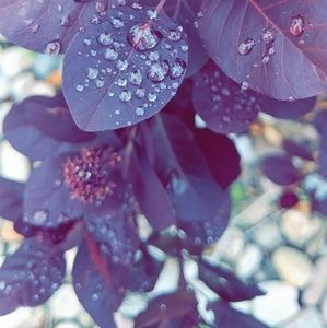 Meet your Posher, Abiah